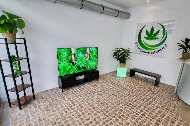 Moderner Raum mit Pflanzen